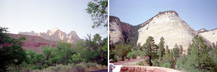 Scenes from Zion National Park