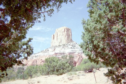 Monument Valley rock formation framed by trees