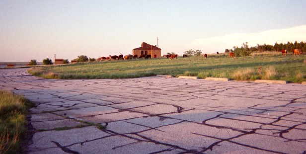 Grass growing in pavement cracks with outbuilding in distance