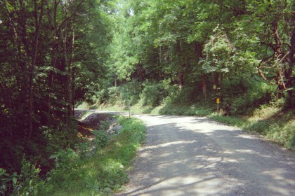 Narrow unpaved road through the woods