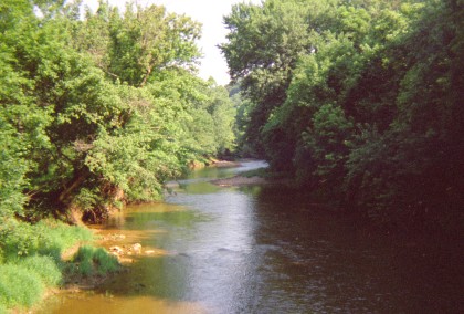 Stream with trees on both sides