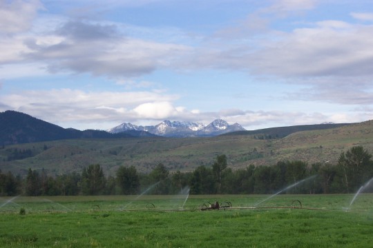 Irrigated fields with mountains in the background
