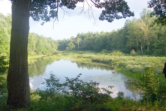 Pond at the camp site