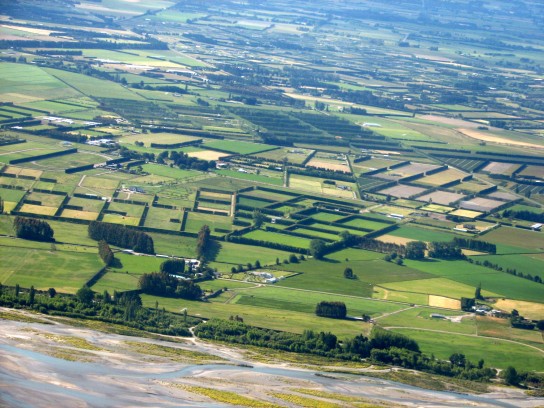 Hedgerows on the Canterbury plain seen from the air (Sue photo)