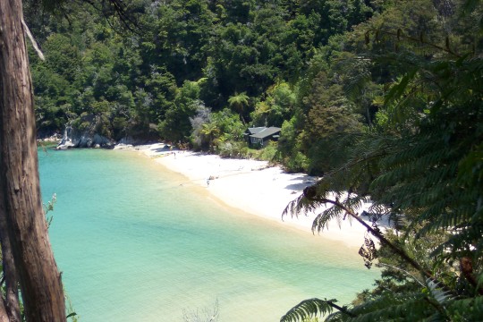 Vista in Tasman NP