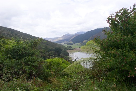 Looking over the valley, with ferns in the foreground