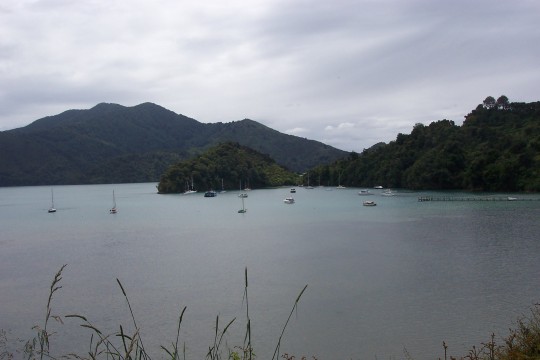 Boats on Queen Charlotte sound