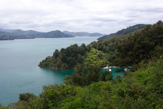 Tree-covered hills jutting directly down into the water