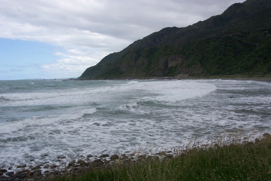 Kaikoura coast