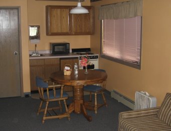 View of kitchenette with table, microwave, fridge, sink