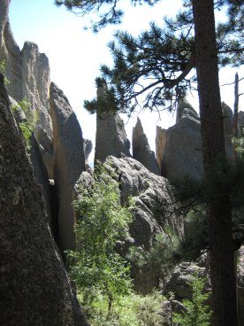 More needle-shaped rocks jutting up seen through trees in foregroung