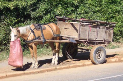 Horse and cart