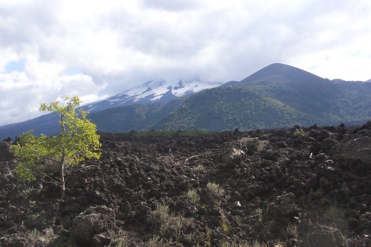Volcano with lava field in foreground