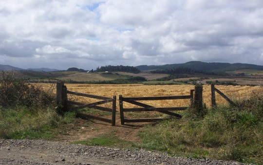 Field with gate in foreground