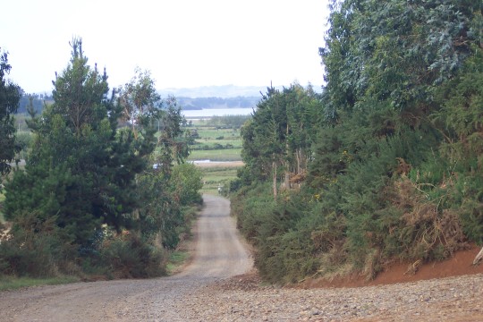 Road, looking down hill