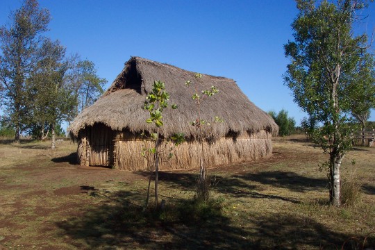Traditional Mapuche 'ruka', or thatched dwelling