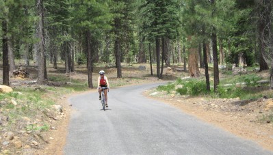 Cyclist riding on a narrow road in the woods