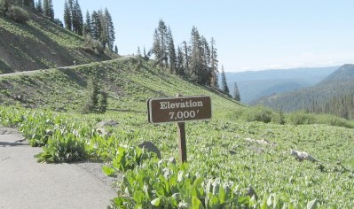 Road with sign 'Elevation 7000 ft'