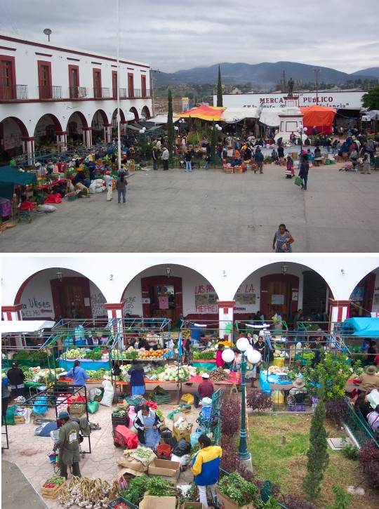Market in Mihuatlán