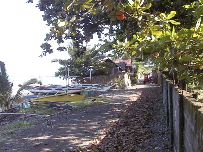 Nipa huts with boats pulled up on the shore