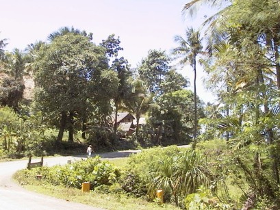 Road curving to the right with person walking, lush vegetation, and house visible through the trees