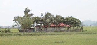 Farm buildings with trees in the middle of a field