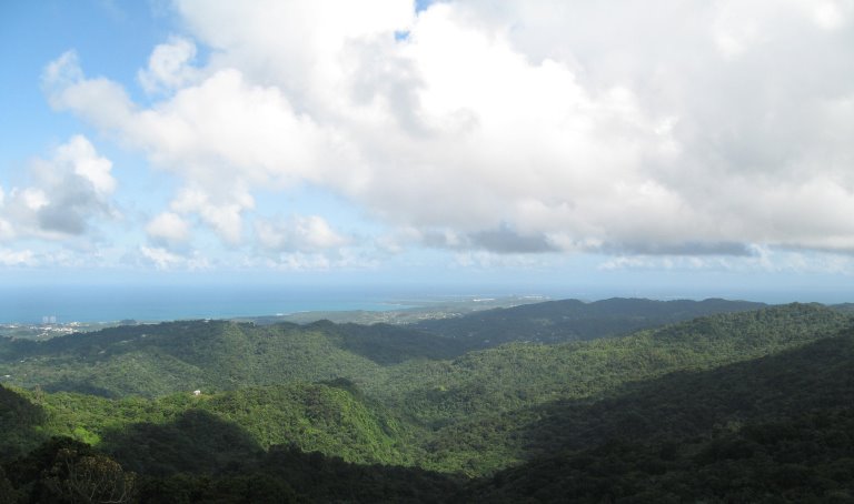 View from top of tower in El Yunque