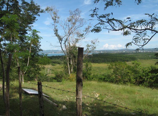Country scene with fence in foreground